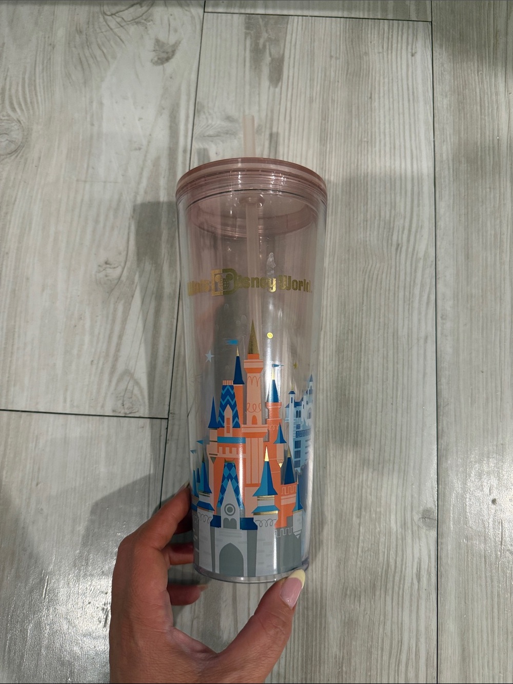 Starbucks Walt Disney world drink tumbler
